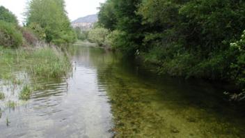 River with trees on the side.