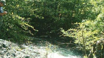 Scott River Sugar Creek