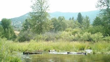 River runoff in meadow.
