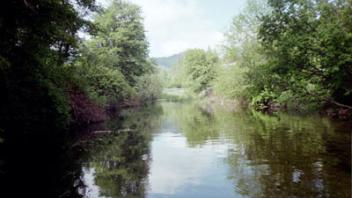 River with trees on the sides.