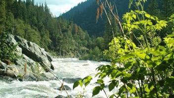 Scott river