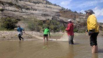 Seining for fish (Photo_ Lily Tomkovic)