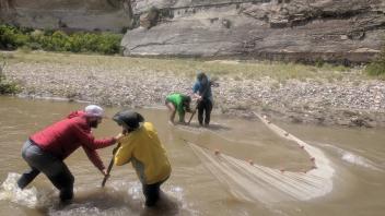 Seining for fish 2 (Photo_ Lily Tomkovic)