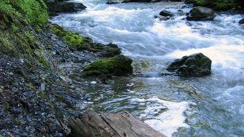 Sheladamus Creek 