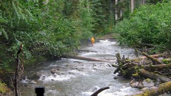 Shruti operating the laser level on Spectacle Creek