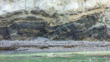 Sideview of Oil in Monterey Formation on Santa Cruz Island, Channel Islands National Park