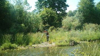 Surveying