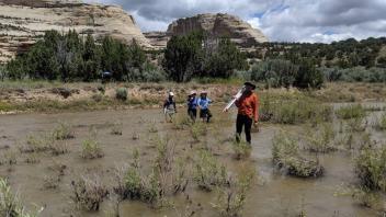 Surveying after leaving Harding Hole at a set of side channels