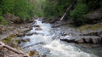 Terrace Creek