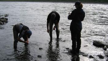 doing Pebble Counts