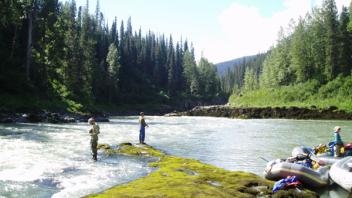 The fishing crew at work sampling