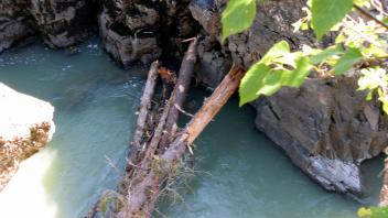 Top view of the log jam.