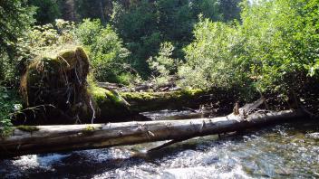 Tributary confluence with the Skeena River