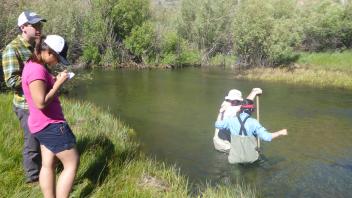 Tuolumne Meadows