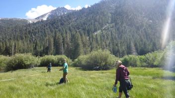 Tuolumne Meadows