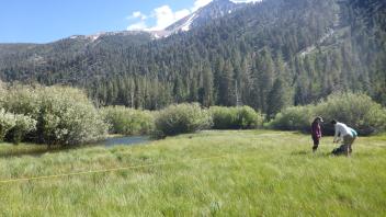 Tuolumne Meadows