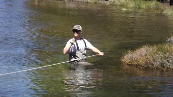 Tuolumne Meadows