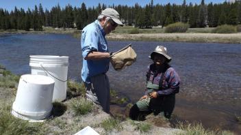 Tuolumne Meadows