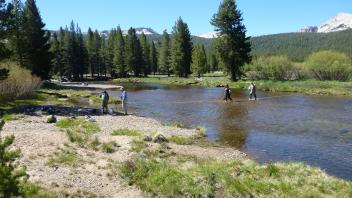 Tuolumne Meadows