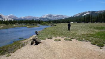 Tuolumne Meadows