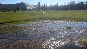 Tuolumne Meadows