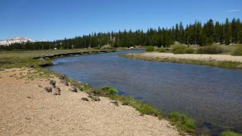 Tuolumne Meadows