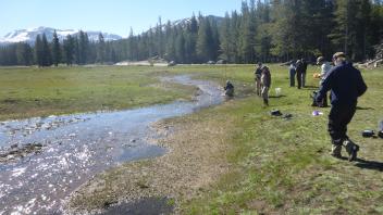 Tuolumne Meadows