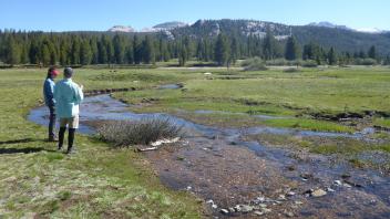 Tuolumne Meadows