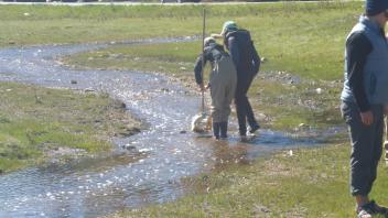 Tuolumne Meadows