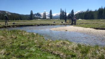 Tuolumne Meadows