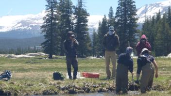 Tuolumne Meadows