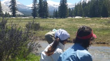 Tuolumne Meadows