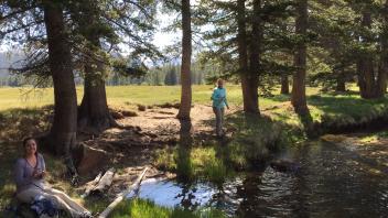 Tuolumne Meadows