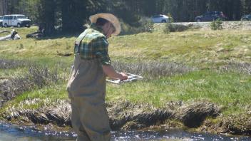 Tuolumne Meadows