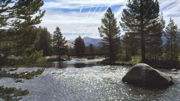 Tuolumne Meadows