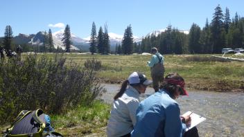 Tuolumne Meadows
