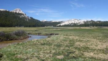 Tuolumne Meadows 