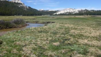 large meadow with mountains in the distance