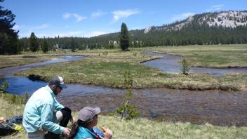 Tuolumne Meadows 