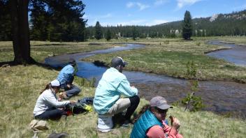 Tuolumne Meadows 
