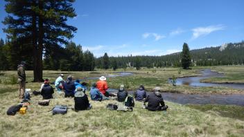 Tuolumne Meadows 