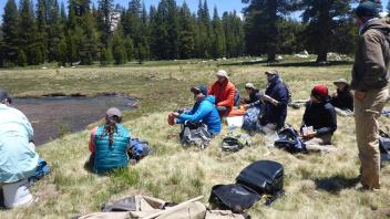 Tuolumne Meadows 