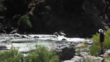 Tuolumne River Field Trip
