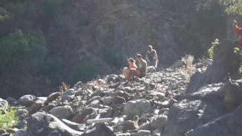 Tuolumne River Field Trip