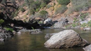 Tuolumne River Field Trip