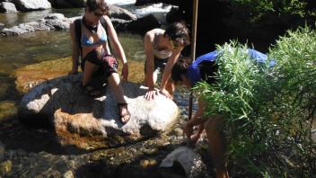 Tuolumne River Field Trip