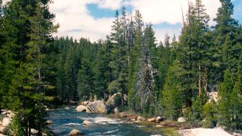 Tuolumne River