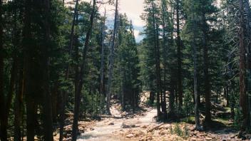 Tuolumne River