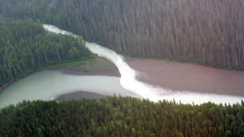 Two rivers joining up. Notice the change in sediment between the two rivers