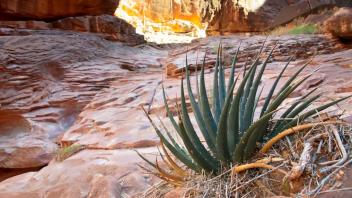Upper Canyon 